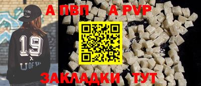 бошки Кингисепп