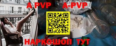 бошки Кингисепп