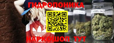 ПСИЛОЦИБИНОВЫЕ ГРИБЫ Кинель
