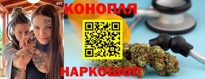 бошки Кингисепп