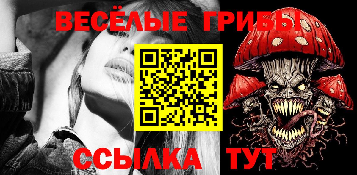 Корсаков  Галлюциногенные грибы MAGIC MUSHROOMS  Вход с VPN 