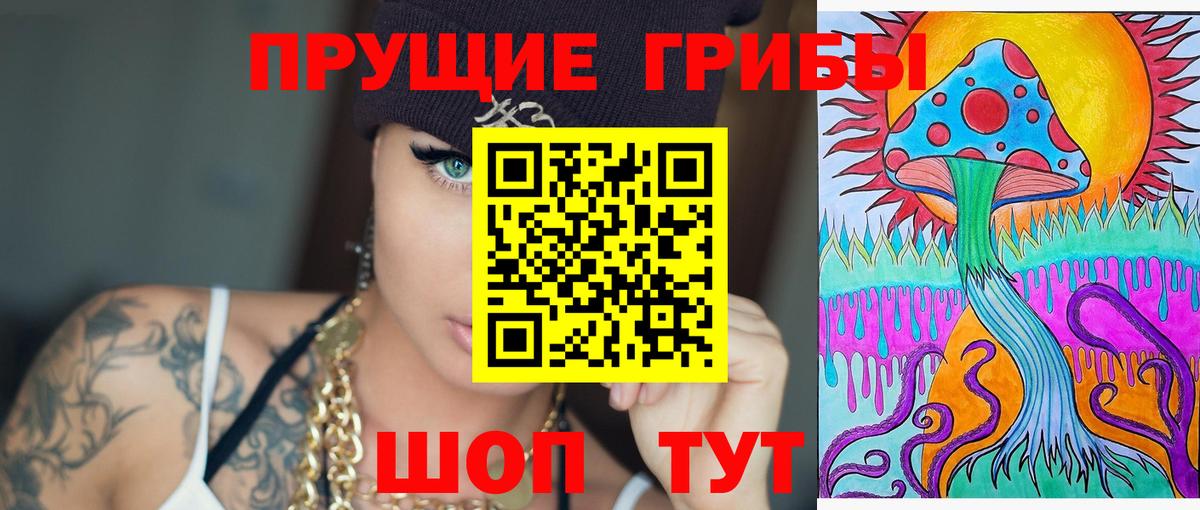 Галлюциногенные грибы Cubensis Корсаков
